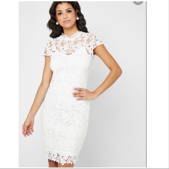 quiz dresses size 12